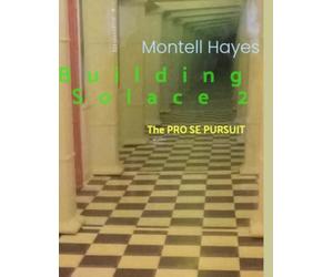 Building Solace 2: The Pro Se PURSUIT