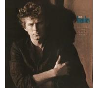Don Henley - Building The Perfect Beast [VINYL]