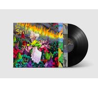 Built to Spill : When the Wind Forgets Your Name VINYL 12" Album (2022)