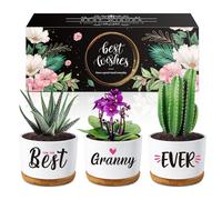 Buioata Gifts for Granny, Gran Birthday Gift -Succulent Planters Best Granny Ever- Gifts for Gran on Her Birthday, Presents for Grandma Nana