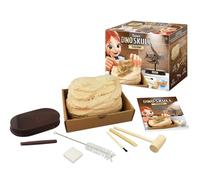 Triceratops Museum Skull science kit