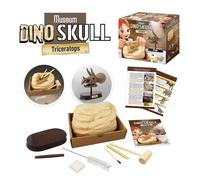 Buki France Triceratops Museum Skull