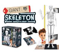 Buki Skeleton 2181 - 85 cm - White - 1 Pack