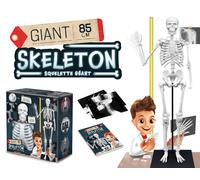 Skeleton - 85cm Buki White 1 Pack