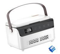 BULAIDAI Double Layer Temperature Display Car Coolers Box with Temperature Display ABS Construction and Easy Transport Car Fridge Portable