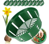 Bulb Baskets Daffodil Tulip Crocus Snowdrop Allium Easy Planter 20cm/23cm/26cm (20cm, 3)