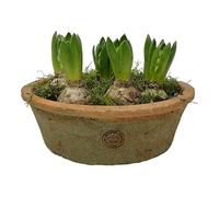 Bulb Bowl, Round Terracotta Dish Planter, Shallow Succulent Plant Pot, Redstone Weathered Terracotta Plant Pot, Aged Stone Rustic Pot, Weathered Seeds Bulb Crocus Pot Planter