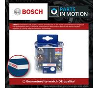 Bosch H1 Maxibox Spare Lamp Box - 12 V