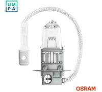 BULB LICENCE PLATE LIGHT 6436DWP-1BL