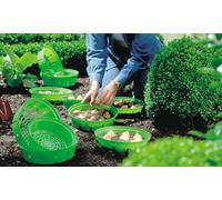 Bulb Planting Baskets: 10 baskets