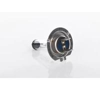 Bosch Original Spotlight Bulb For VW VAUXHALL OPEL MERCEDES BMW Mk4 1987302079