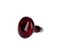 Bulb Reptiles Planet Infrared 150 W