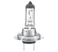 Bulb, spotlight fits: MERCEDES-BENZ ACTROS 1831 1831 L/1831 S 1831 LS/1831 K/