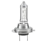 Bulb, spotlight fits: RENAULT MEGANE III Coupe (DZ0/1_) 2.0 TCe (DZ1N)/1.6 dC