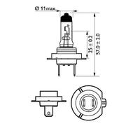 Bulb, spotlight fits: RENAULT MEGANE III Coupe (DZ0/1_) 2.0 TCe (DZ1N)/1.6 dC