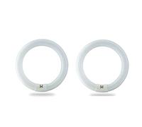 BULBMASTER FC8T9/CW 22 Watt 8 Inch Round T9 Fluorescent Circular Light Bulb, Cool White 4100K, 1120 Lumens G10Q 4-Pin Base 22W Circline Ceiling Lights Pack of 2
