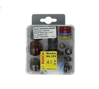 Bulbs Assortment for BOSCH 1 987 301 111