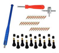 Bulevisiter 43-Piece Alloy Steel Tire Valve Core Tool Set for Vacuum Tire Installation and Repair, Professional Automotive Hand Tool Kit