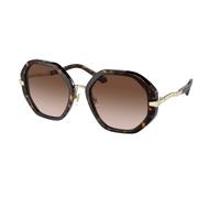 Bulgari BV8242B 504/13 Woman Outlet sunglasses Plastic Havana Brown Geometric Normal Shaded