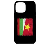 Bulgaria Vietnam Half Flag Bulgarian Vietnamese History Case for iPhone 13 Pro Max