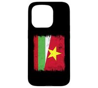 Bulgaria Vietnam Half Flag Bulgarian Vietnamese History Case for iPhone 15 Pro