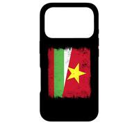 Bulgaria Vietnam Half Flag Bulgarian Vietnamese History Case for iPhone 17 Pro