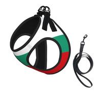 Bulgarian Flag Print Step in Dog Harness and Leash Set,Adjustable Reflective Harness for Small Dogs Cats