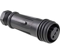 Bulgin PX0921/03/S Rundplug Buchse, gerade Gesamtpolzahl: 3 Serie (Rundsteckverbinder): PX 1 pc(s)