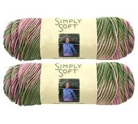 Bulk Buy: Caron Simply Soft Yarn Paints (2-pack) (Rose Garden),Each skein - 4oz/113.4g 208yds/190m