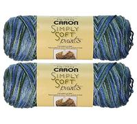 Bulk Buy: Caron Simply Soft Yarn Paints (2-Pack) (Spring Brook)