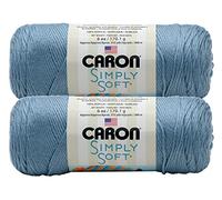 Bulk Buy: Caron Simply Soft Yarn Solids (2-pack) (Light Country Blue)