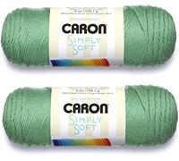 Bulk Buy: Caron Simply Soft Yarn Solids (2-Pack) (Sage)