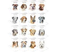Bulk Buy Dog Birthday Cards (16 Most Popular Dog Bread Card Multipack + Self-Seal envs) - Assorted Multi Selection Pack - 16 Designs for Male & Female - Blank Inside - Compact Size 105 x 148mm