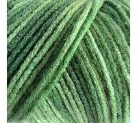 Bulk Buy: Red Heart Super Saver Yarn, Green Tones, 5 Ounces/Ball, Pack of 2 Balls