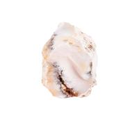 Bulk Crystal Natural Grass Flower Opal Ore Crystal Rough Stone Ornaments Ore Specimen Diffuser for Tumbling(2-3cm)