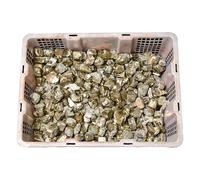 Bulk Crystal Natural Pyrite Crystal Rough Stone Ornaments Ore Specimen Aromatherapy Diffuser Demagnetizing Stone Crushed Stone for Tumbling(3-4cm)