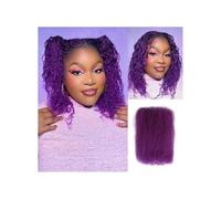 Bulk Human Hair For Braiding Afro Kinky-Curly Human Hair Twist Hair 50g/pack for Micro Locs Extensions Easy Installation and Removal(Purple,14inch)