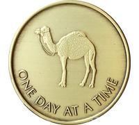 Bulk Lot of 25 Camel One Day At A Time Bronze Medallions Serenity Prayer Chips