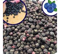 BULK & tasty. Freeze Dried Blueberry Wild Whole Snack XXL 600g - Raw Natural Premium Freeze Dried Fruit Blueberries | Pure Natural Vegan Gluten Free without Any Additives