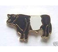 BULL BELTED GALLOWAY - COW - BULL ENAMEL LAPEL PIN BADGE