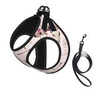 Bull Skull Tribal Print Dog Harness Reflective Pet Vest Harness Puppy Harnesses Leash Set,For Walking Training