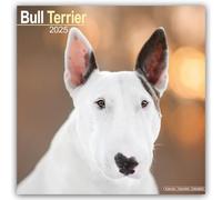 Bull Terrier 2025 Square Wall Calendar | Dog Breed Calendar NEW