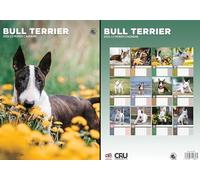 Bull Terrier 2026 Calendar - A3 Size 30 x 42 cm, 12 Months of Great Photography