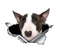 Bull Terrier Car Sticker 18 cm (7.1 Inch) Bull Terrier Car Sticker Funny Bull Terrier 3D Torn Reflective Car Sticker Personalised Bumper Waterproof Funny Decor