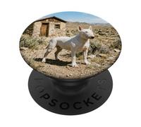 Bull Terrier Desert Cabin Rustic Landscape Scene PopSockets Adhesive PopGrip