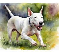 Bull Terrier Dog,DIY Oil Painting Paint by Numbers Kits for Adult Color According to The on Canvas,Gifts Christmas,40x50cm No Frame