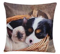 Bullahshah Cavalier King Charles Spaniel Dog and Kitten Friendship Animal Print Square 17 x 17 Cushion Cover, Pillowcase for Sofa Bed Couch