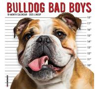 Bulldog Bad Boys 2025 Wall