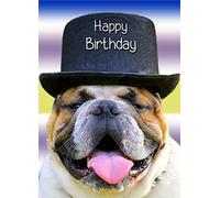 Bulldog Birthday Card