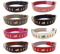 Bulldog Leather Dog Collar with Gold Design and British/English Bulldog Head Motif (Large: 20" - 24", Grey)